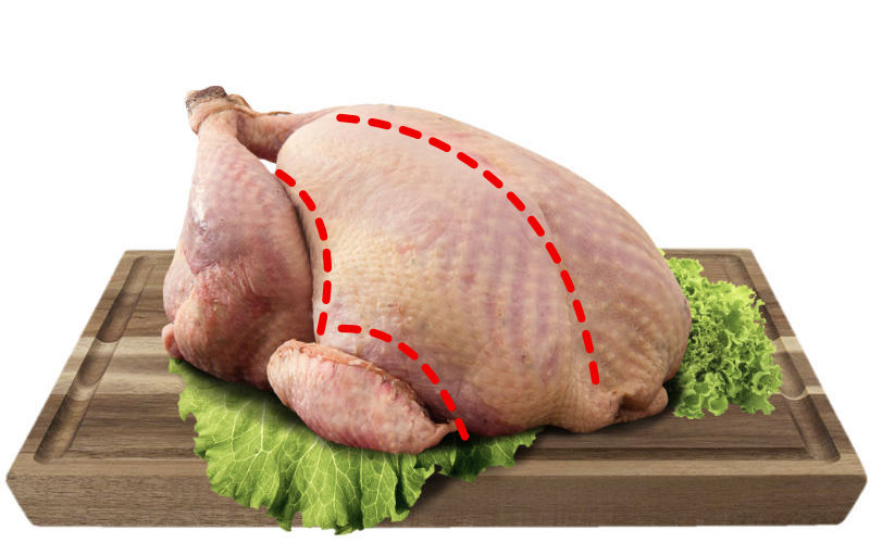 Curcan crescut bio in iarba